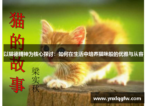 以猫德精神为核心探讨：如何在生活中培养猫咪般的优雅与从容