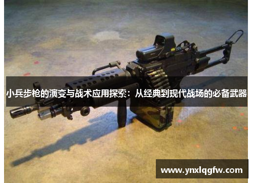 小兵步枪的演变与战术应用探索：从经典到现代战场的必备武器