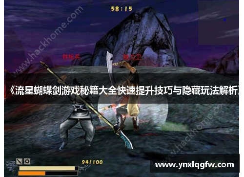 《流星蝴蝶剑游戏秘籍大全快速提升技巧与隐藏玩法解析》