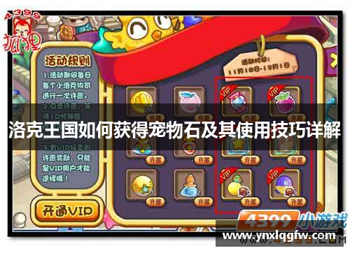 洛克王国如何获得宠物石及其使用技巧详解
